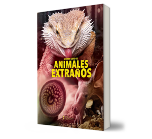 MI GRAN LIBRO DE ANIMALES EXTRAÑOS - Sin Fronteras Kids - Libro y Teatro.